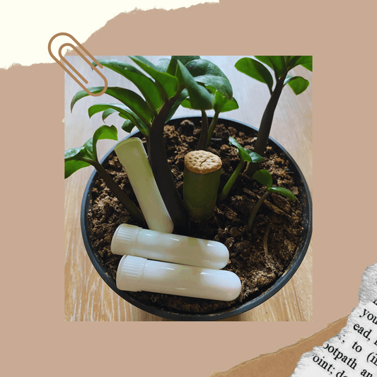 Immune Help Inhaler Set of 3